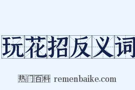 玩花招反义词是什么意思的图片